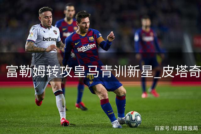 富勒姆转攻皇马青训新星 皮塔奇留队计划曝光